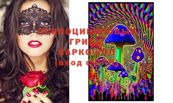 кокс Алзамай