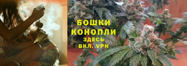 мяу мяу мука Лабытнанги