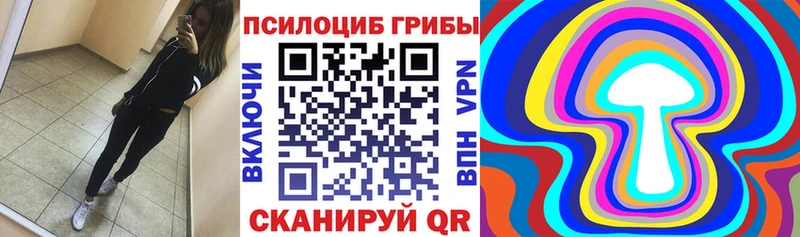 Псилоцибиновые грибы Cubensis  Купить закладки  Бузулук 